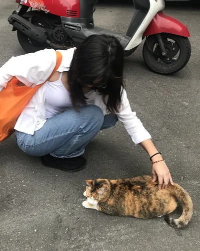 Maggie crouching on a street to pet a calico cat.